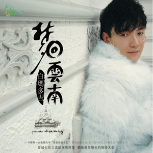 梦回云南 (DJ何鹏版)