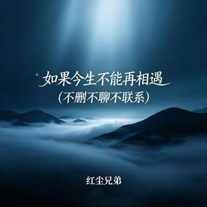 如果今生不能再相遇(不删不聊不联系)