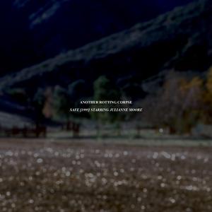 Safe (1995) Starring Julianne Moore