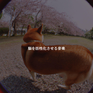 Subdued Music for Leisurely Dogs