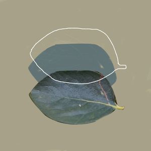 那些发生过的一切