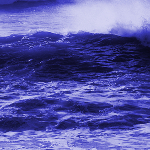 Only The Sea (feat. Tricia Thom)