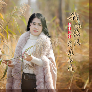 我的伤悲有谁知道 (DJ默涵版)