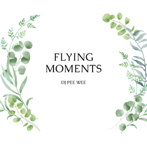 Flying Moments
