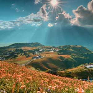 抖音最新（你不明白）你不明白我说不爱的更加爱