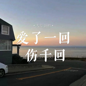 爱了一回 伤千回