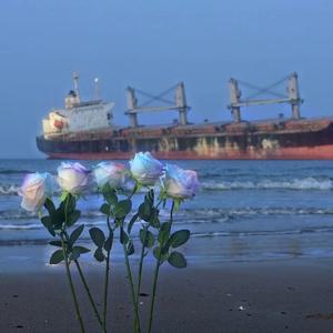 戒不掉x0.8（DJ版）