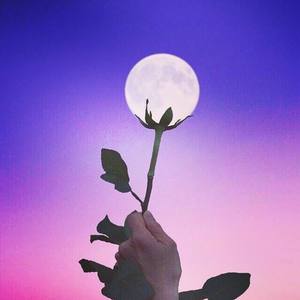 His Girl *Lofi Hip-Hop Type beat*