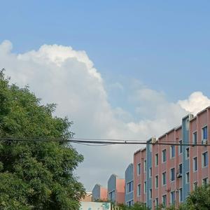 惊雷（翻自 皮卡丘多多）