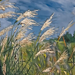 I FEEL GOOD.（prod.by Morrow x ayoley）wav