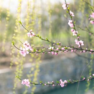 Brown noise all night lullaby