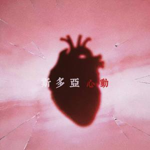 斯多亚心动