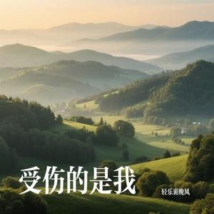 受伤的是我 (Cover 马建涛)