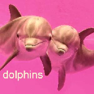 Dolphins