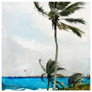 ミッドナイト・サーフ