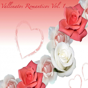 Nunca Comprendi Tu Amor