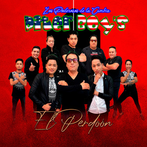 EL PERDON (Remix)