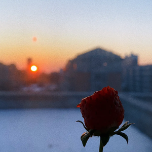 长命女·春日宴（翻自 赵清持）