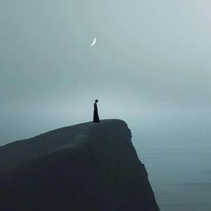 害怕孤独的动物