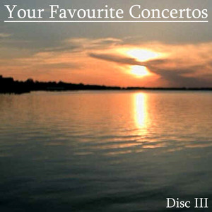 Piano Concerto No. 1 In B-Flat Minor, Op. 23, First Movement: Allegro non troppo e molto meastoso - Allegro con spirito