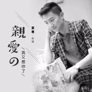 亲爱的我又想你了 (DJ何鹏 Remix)