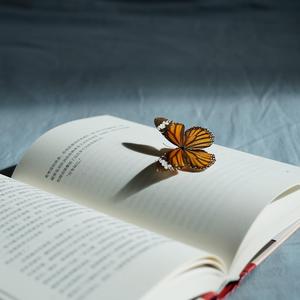 夏の終わりの海