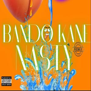 Nasty (feat. Tay-G, AlondaTheBlonde & HoodHo3z) (Remix)