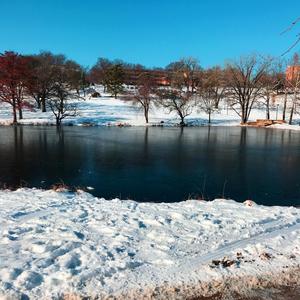 The Black Lodge (iPhone Demo)