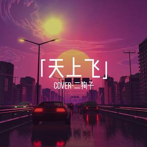 天上飞