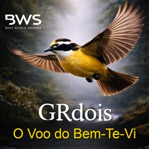 Vôo do Bem-Te-Vi