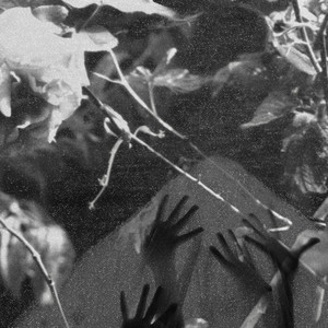 Liability (Live Piano Session)