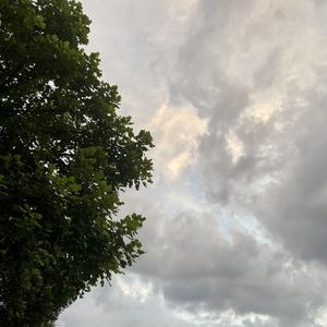 (笑）（翻自 太一）