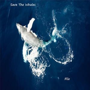 Save the whale