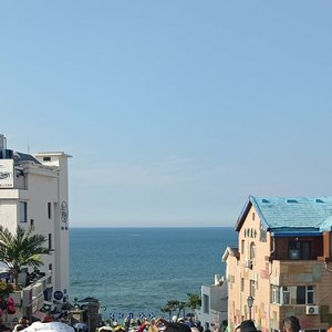 爱你是我的呼吸