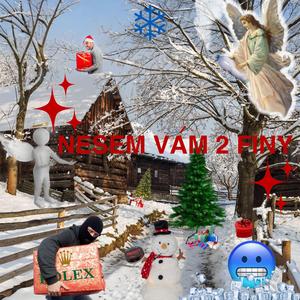 Nesem vám 2 finy