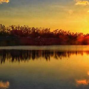 我的人生由我掌舵