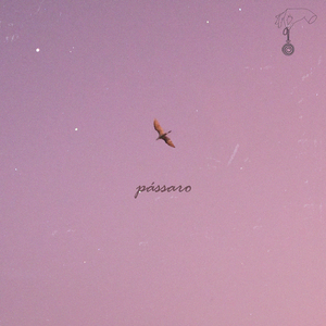 pássaro