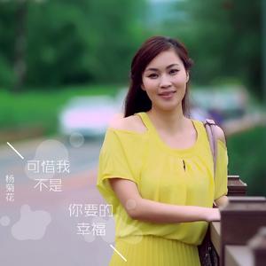可惜我不是你要的幸福
