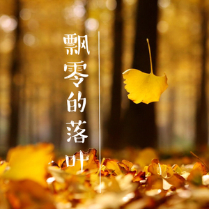 飘零的落叶(Demo)