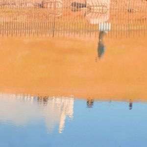 一月一（无损）