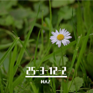 舞扇1225-29(hyb_color