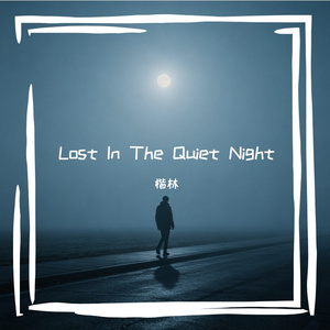 Lost In The Quiet Night
