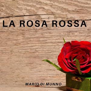 ESSERE FELICI