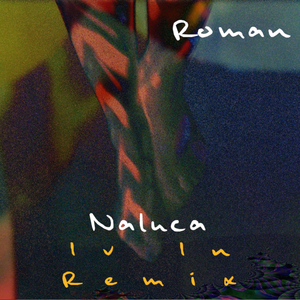Naluca (Iv-In Remix)