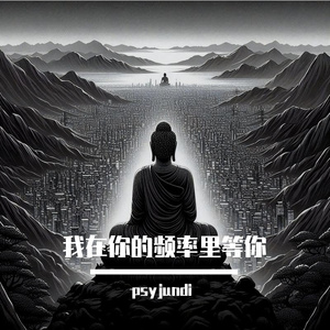 我在你的频率里等你