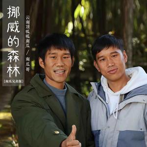 挪威的森林 (南瓜兄弟版)