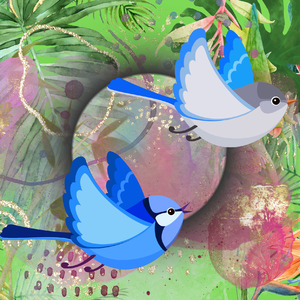 Kicau Burung Tekukur Kuk Satu Dan Dua