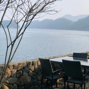 风没吹过，你没来过