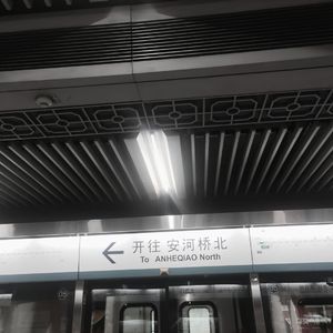 莉莉安指弹间奏