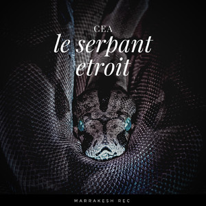 Le serpant etroit (Original Mix)